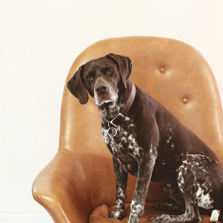 A guest waiting in the lobby