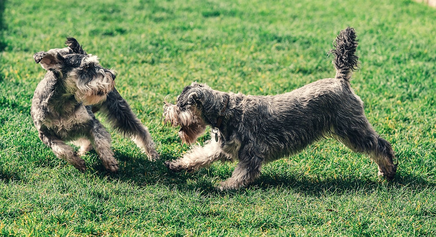 Play time at the club